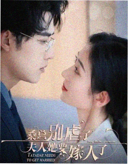古树王座 电视剧 2026